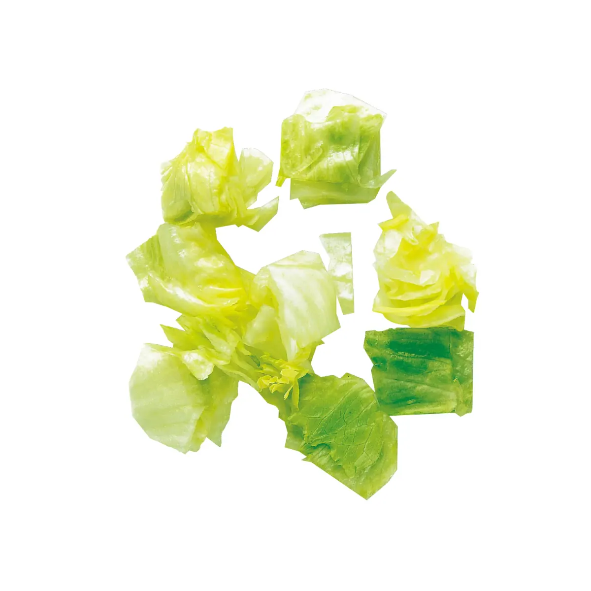 Küp Kesim Ekipmanı · 50 x 70 x 25 mm (salata kesimi) ürün görseli